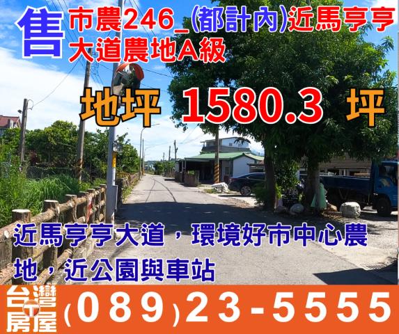 台東台東市農地-0