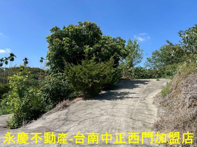 南化農地-11
