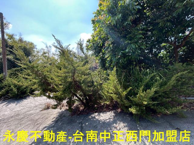 南化農地-0