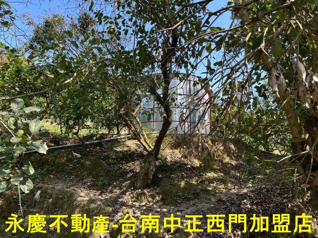 南化農地-4