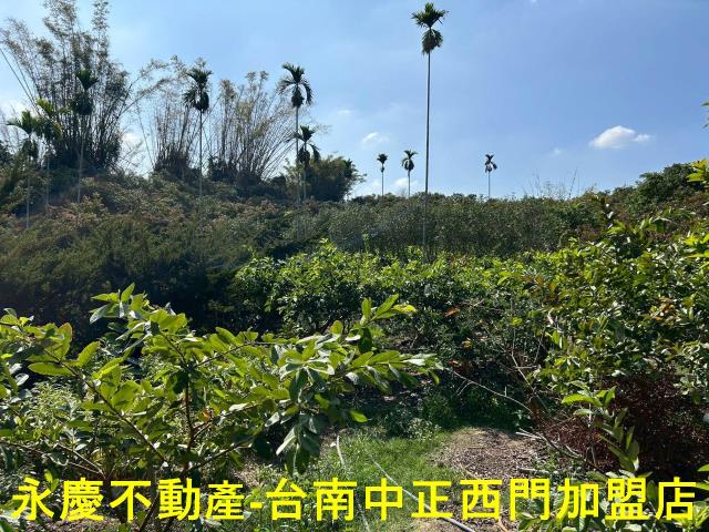 南化農地-8