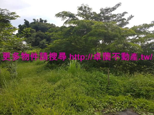 苗栗農地-8