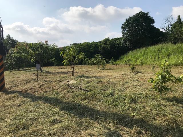 高雄大樹建地-9