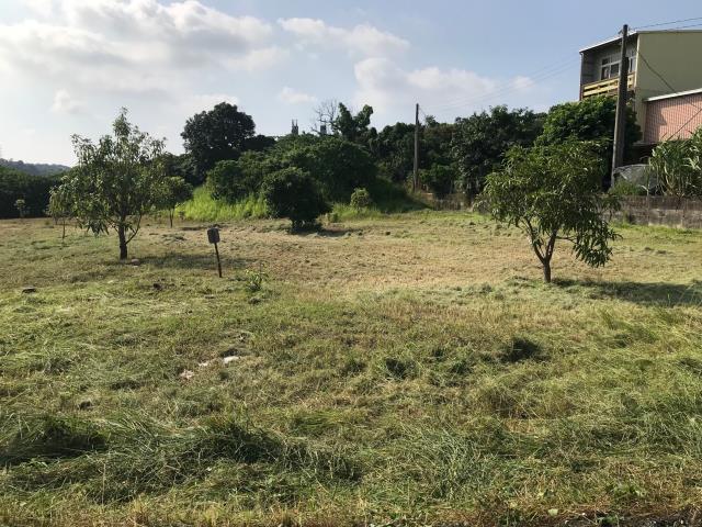 高雄大樹建地-9