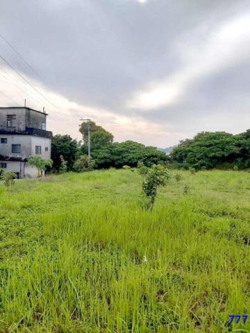高雄大樹建地-3