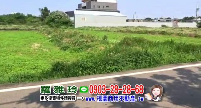 桃園大園農地-1