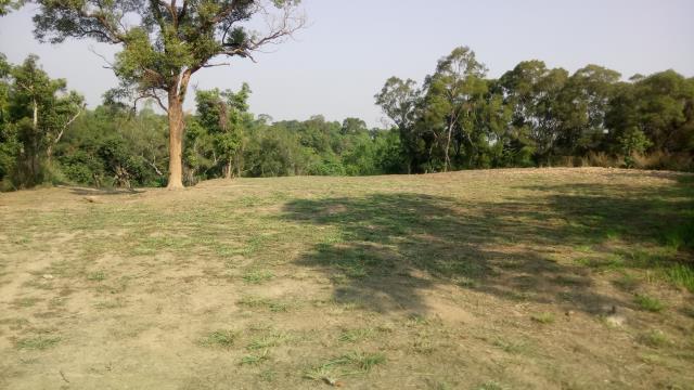 彰化彰南路六段農牧用地已通過水保居高臨下