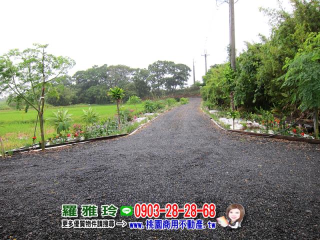 桃園觀音農地-7