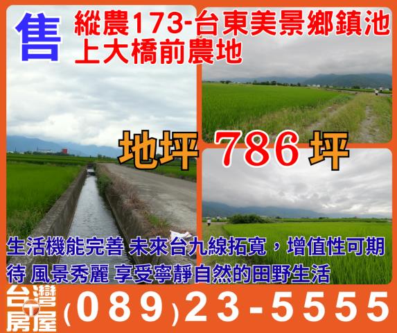 未來台九線拓寬道路上