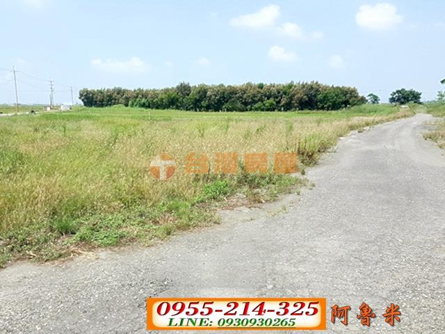 水林農地-6
