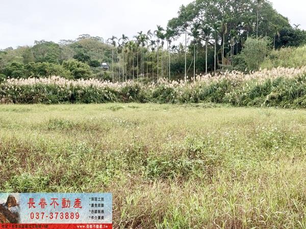 頭屋農地-1