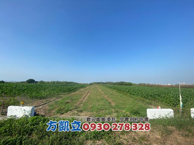 台南佳里農地-3