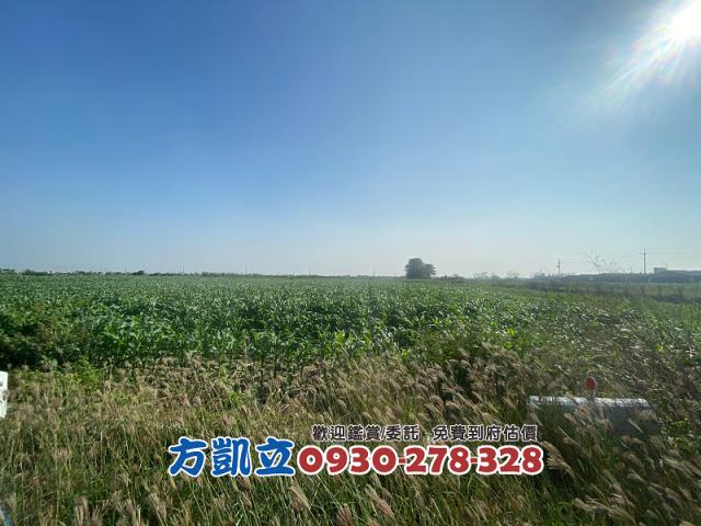 台南佳里農地-4