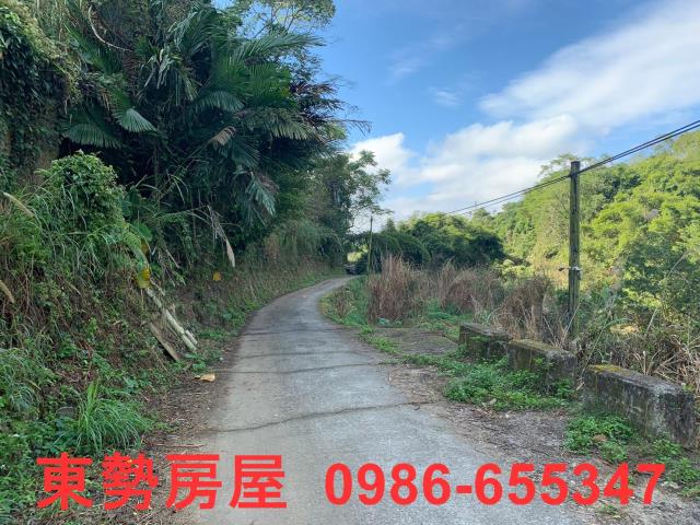 東勢農地-6