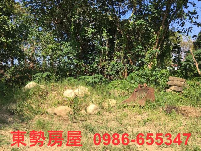 石岡農地-10