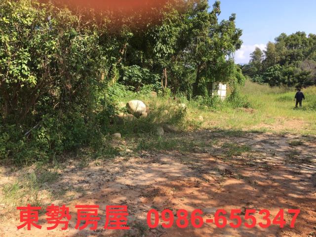 石岡農地-6