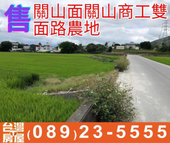 台東農地台東房地產台東土地買賣台東房仲台東仲介縱谷農地