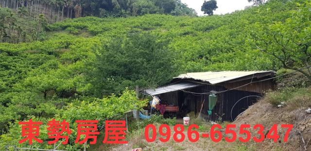 新社農地-3