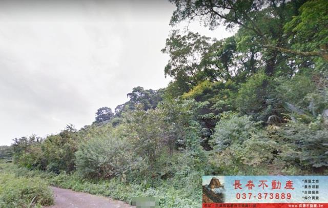 苗栗山坡地-1