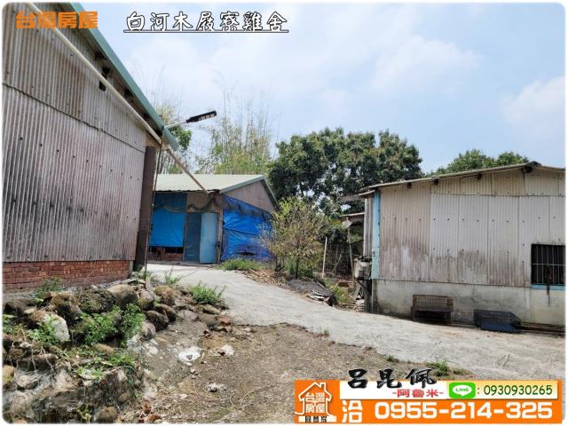 台南雞舍-6