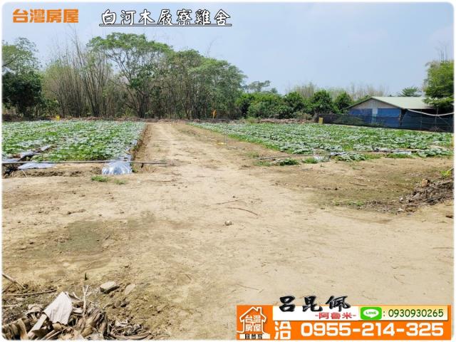 台南雞舍-8
