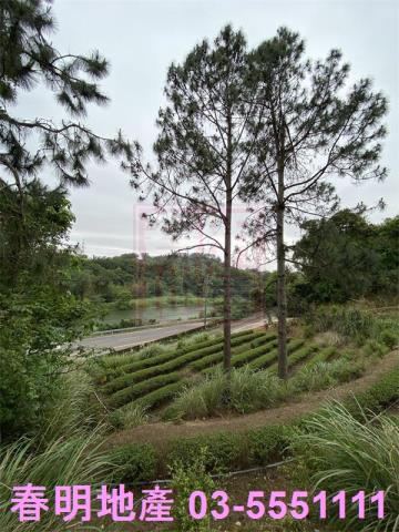 新竹峨眉農地-1