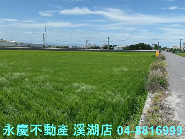 福興農地-3