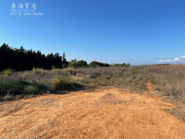台中沙鹿山坡地-0