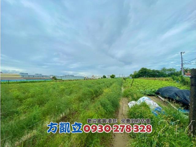 台南安定建地-10