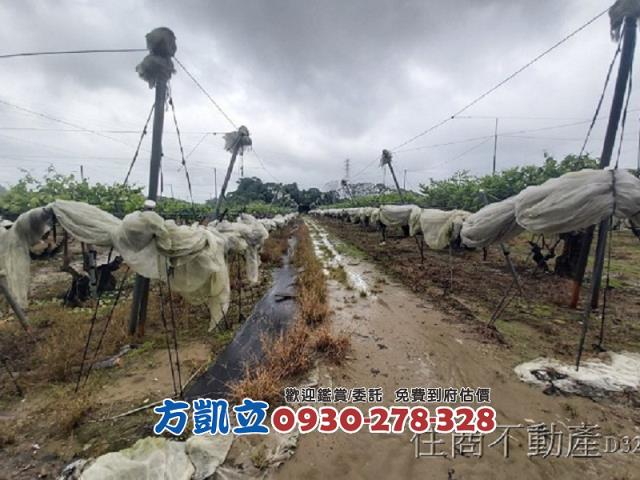台南玉井農地-3