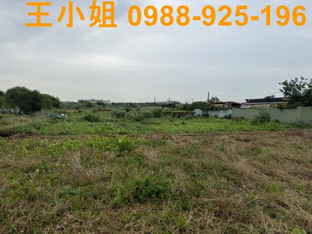 桃園農地-5