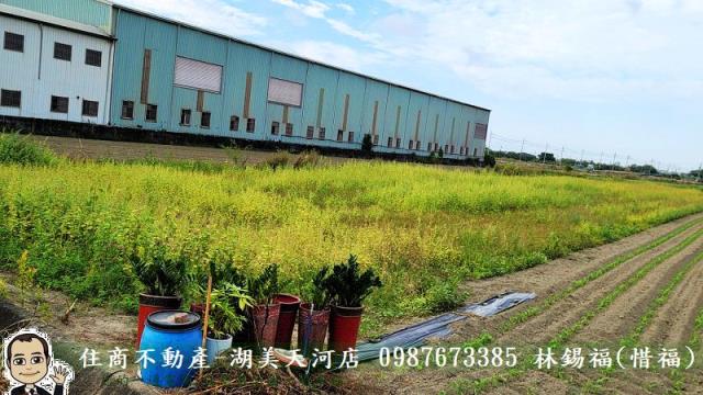 台南農地-1