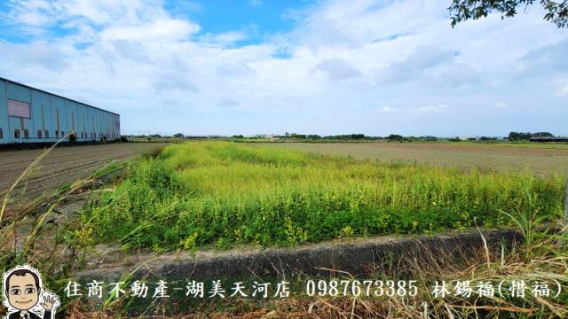 台南農地-6