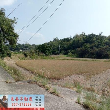 苗栗農地-1