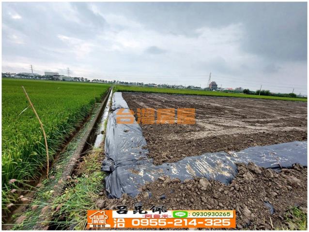 白河農地-10