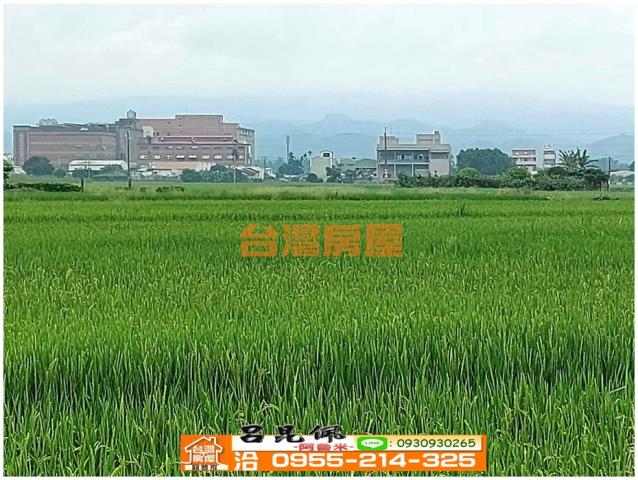 白河農地-11