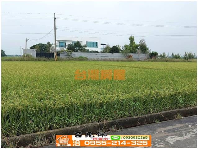 白河農地-6