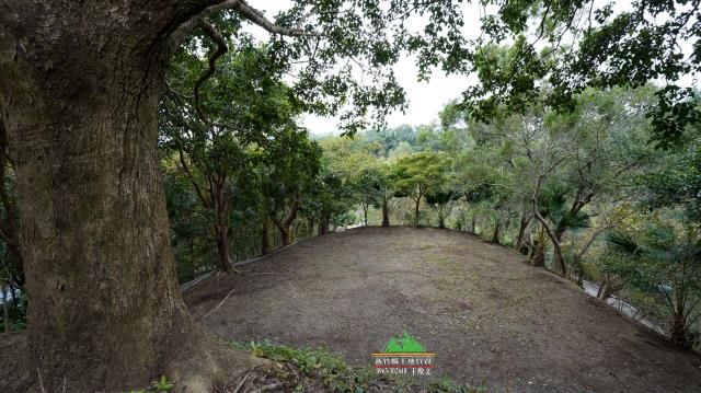 新竹北埔農地-10