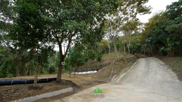 新竹北埔農地-14