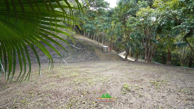 新竹北埔農地-8