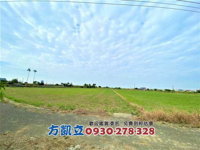 台南善化農地-9