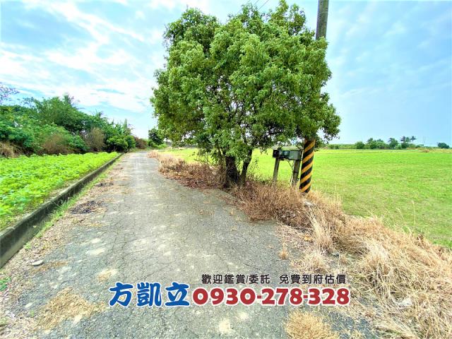 台南善化農地-8