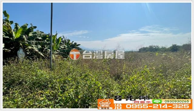 白河農地-5