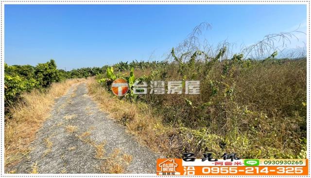 白河農地-6