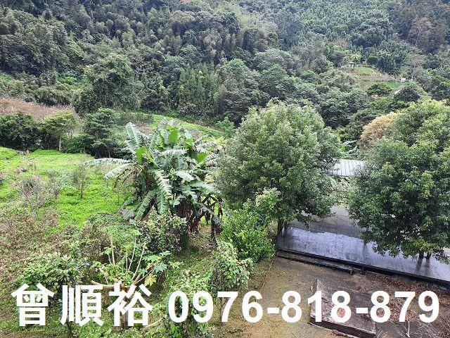 新竹尖石農地-12