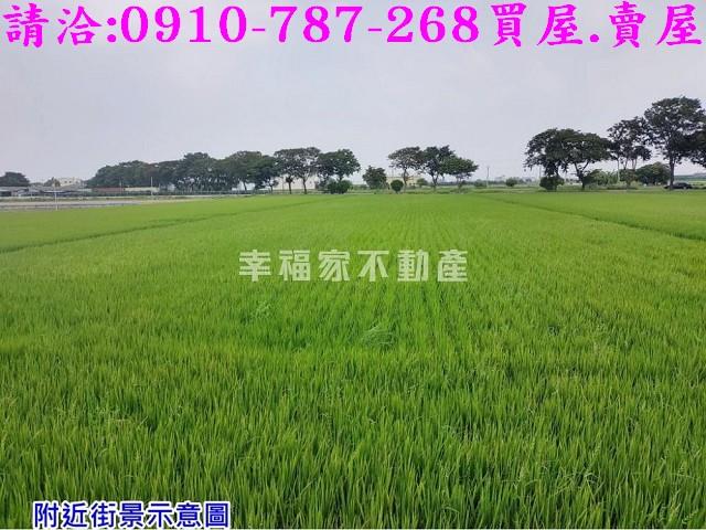 台南下營農地-3