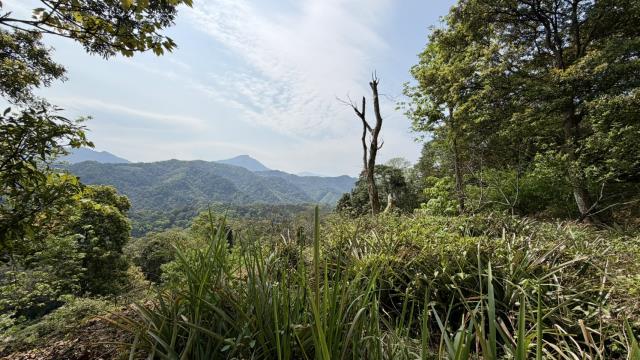 新竹縣北埔鄉農地休閒地