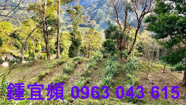 新竹北埔農地-2