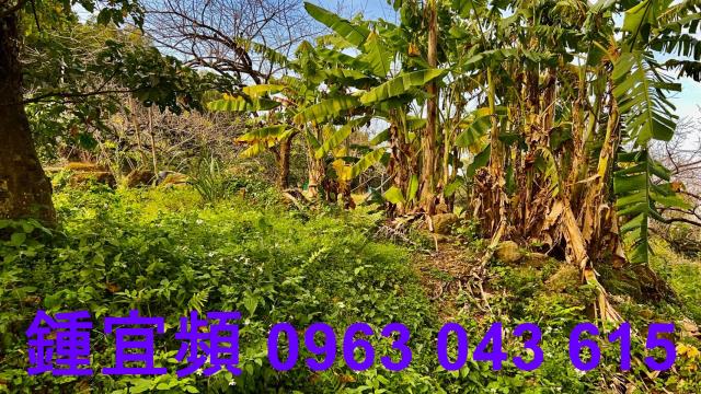 新竹北埔農地-5