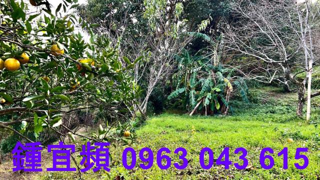 新竹北埔農地-6